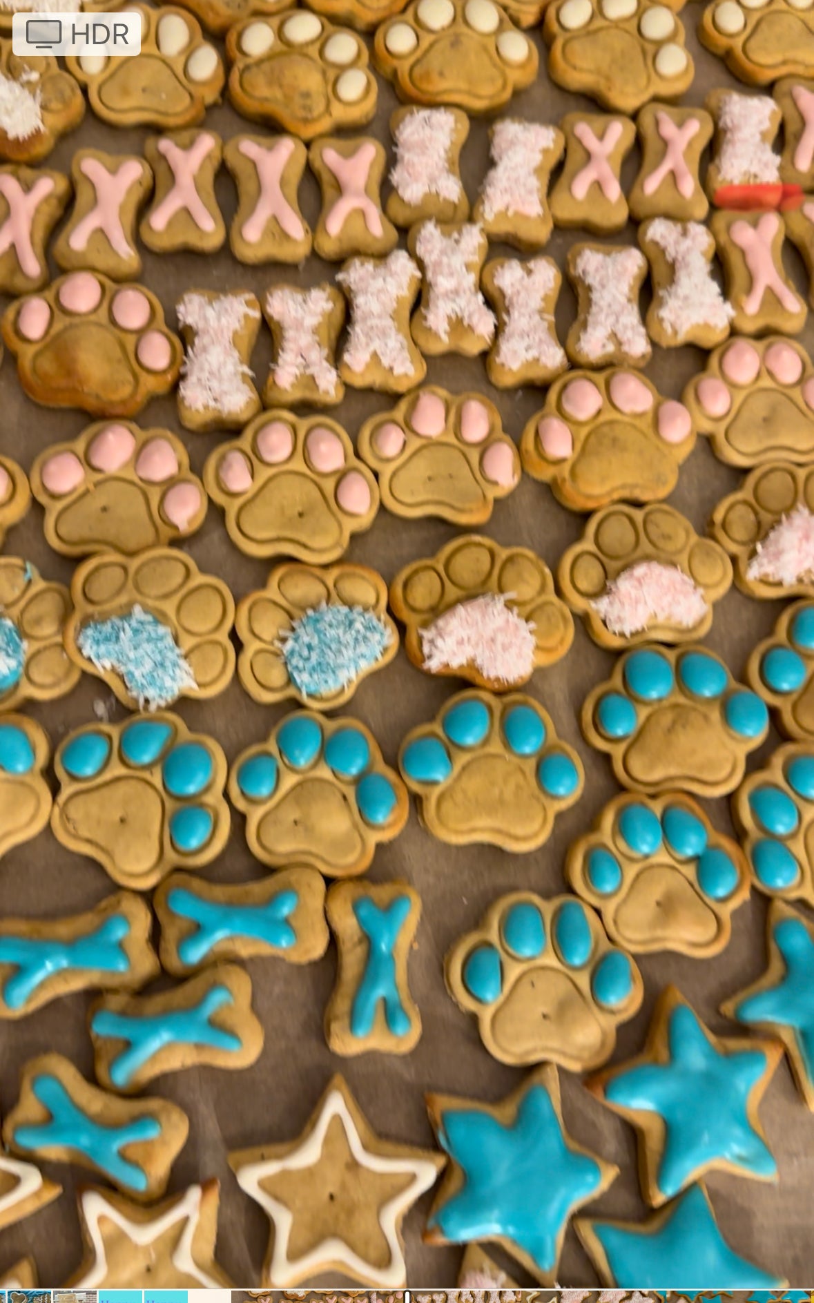 Pawfect 2024 doggie treats