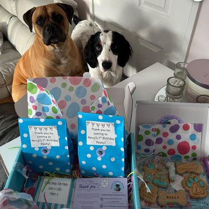 Two dogs sitting behind a table with birthday party supplies and treats.