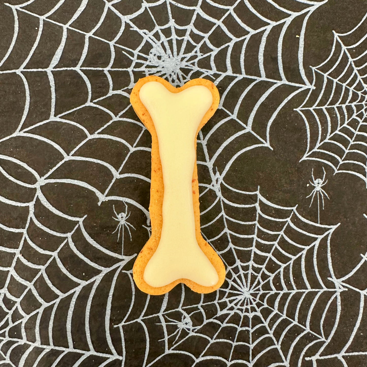 Dog bone won a spider web background