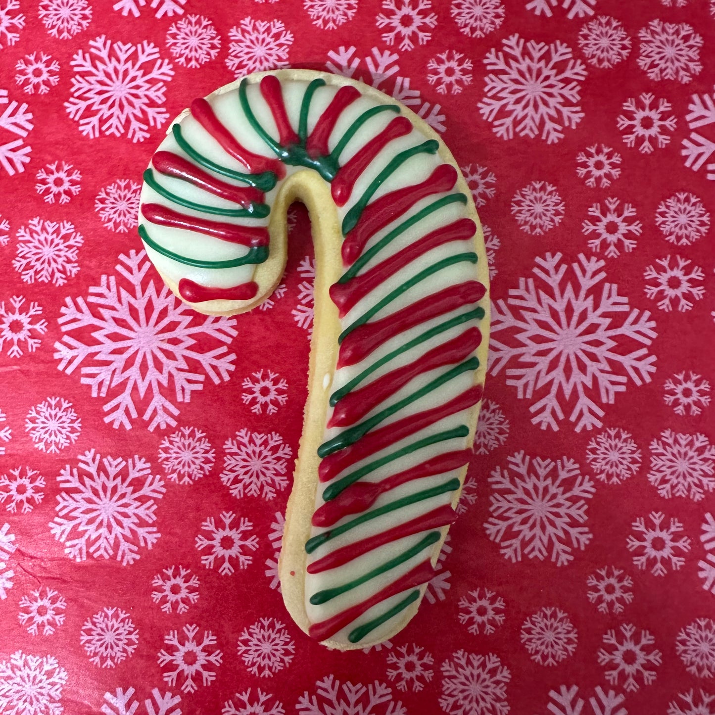 Canine Candy Cane