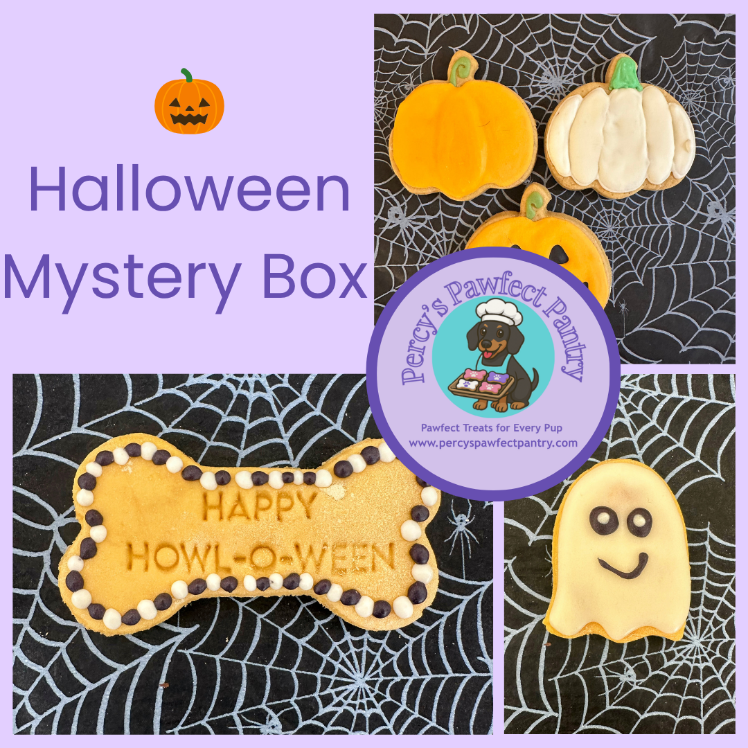 Halloween dog treat mystery box filled with a surprise selection of handmade spooky seasonal biscuits