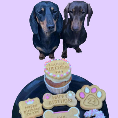 Two dachshunds with birthday-themed treats on a tray in front of them.