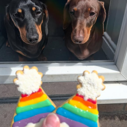 Bert and Ivy, 2 dachshunds starring longingly at 2 rainbow party  hat shaped dog treats