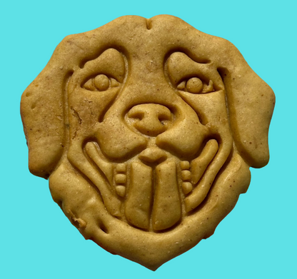 A cookie shaped like a labrador's face on a blue background.