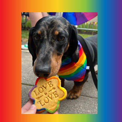 A dog wearing a rainbow-colored scarf is presented with a biscuit that has the text 'LOVE' on it.