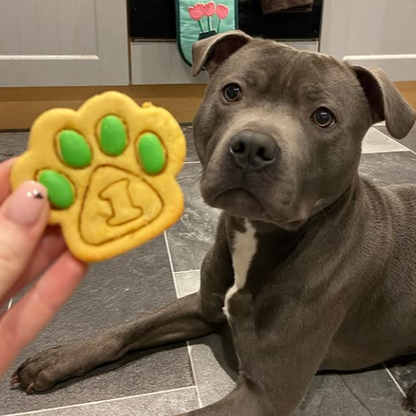 A dog posing with a large paw print