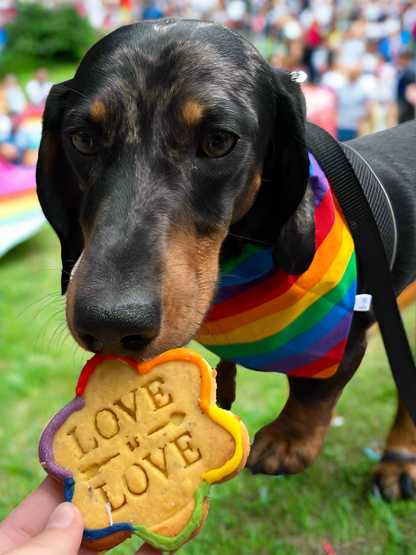 Proud of Pride Gift Box