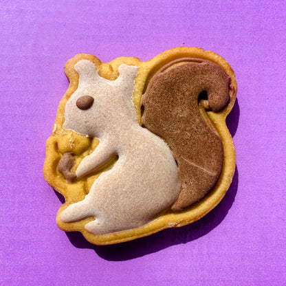 Cookie-shaped squirrel with a purple background
