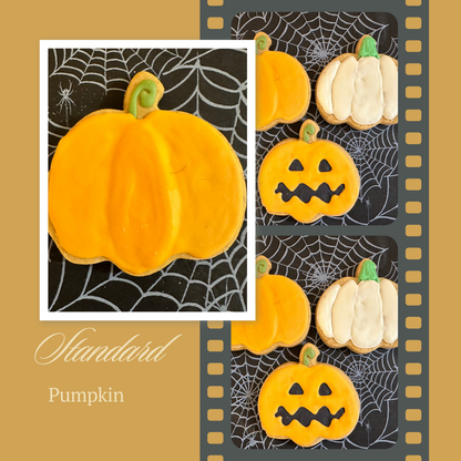 Pumpkin Patch